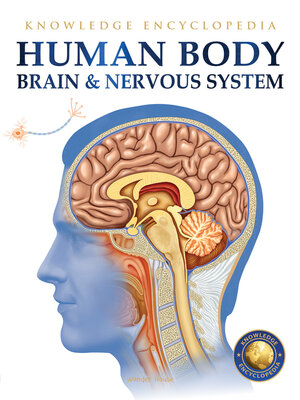 cover image of Human Body--Brain and Nervous System